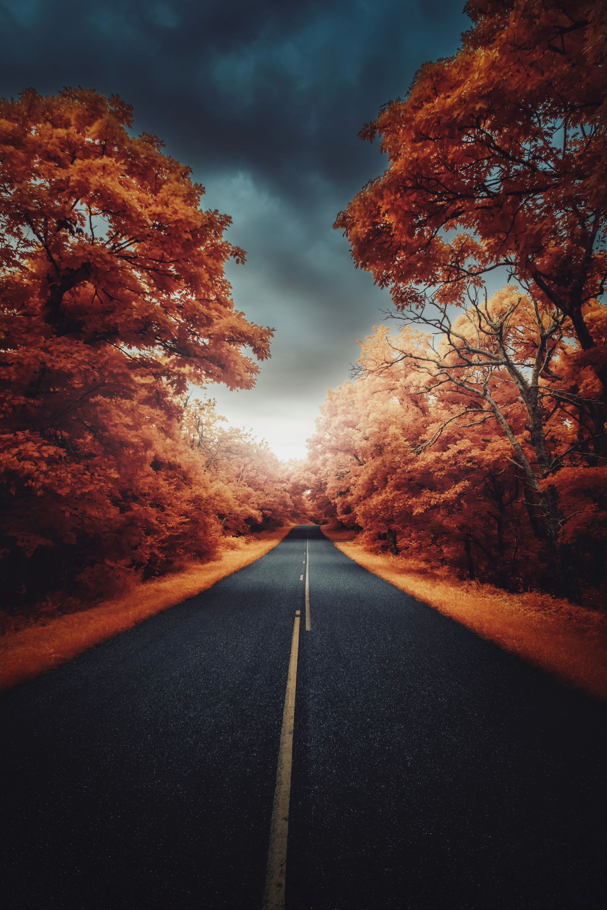 Bryan Minear's submission for "Leading Lines"