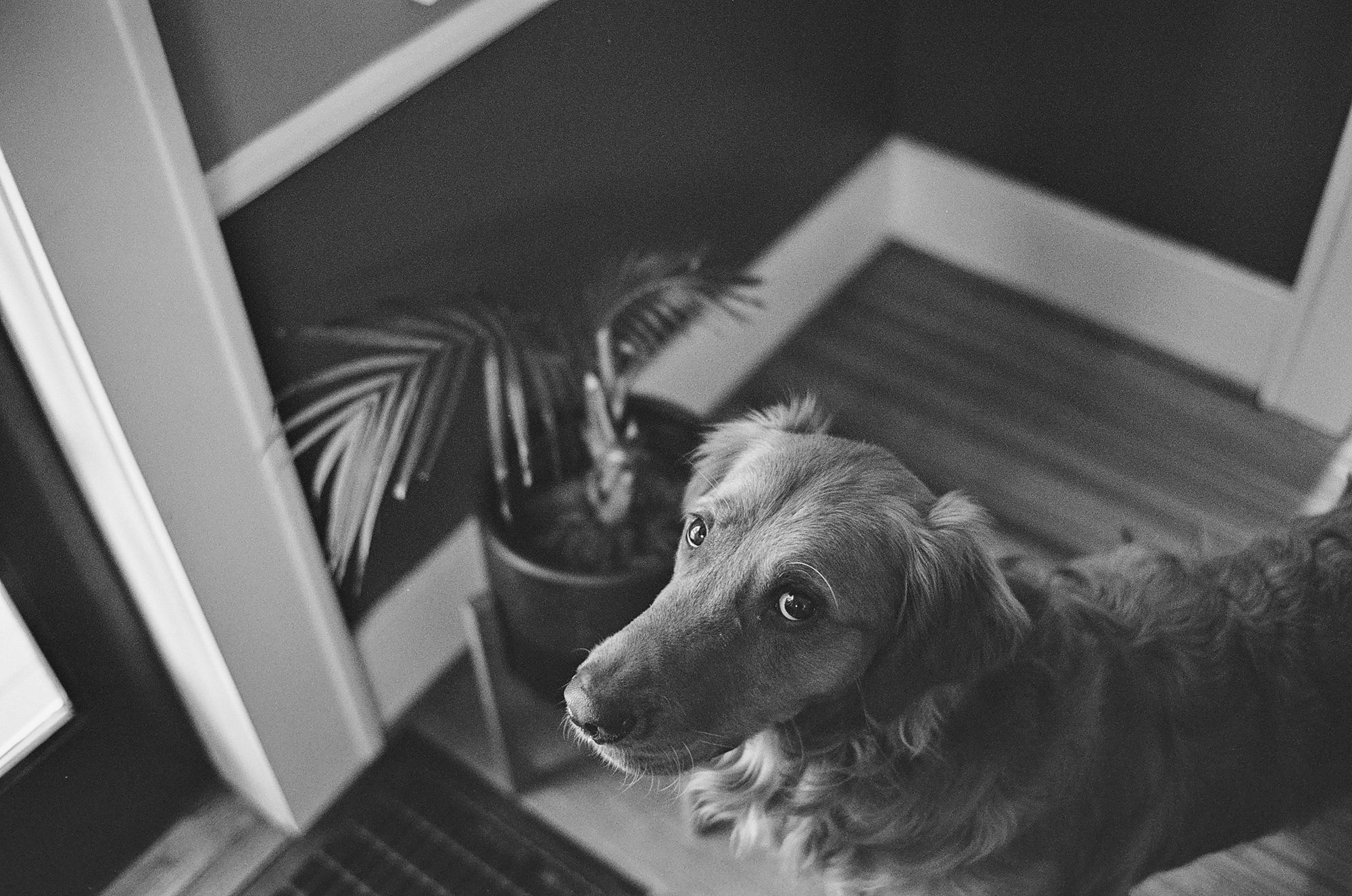 Murph — Leica M6 on Ilford XP2